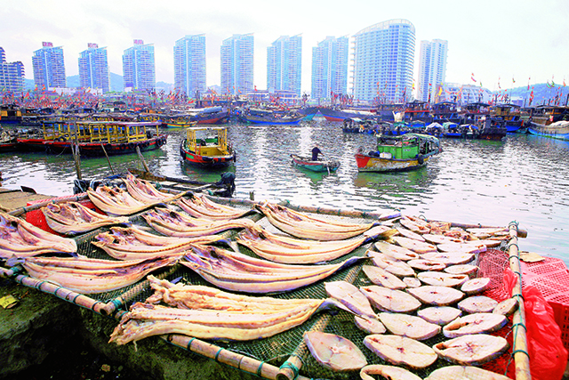 （第二位置）《码头晾晒鱼获》2021年1月20日摄于三亚水居巷。——杨威胜摄影 电话：1397619848_副本.jpg