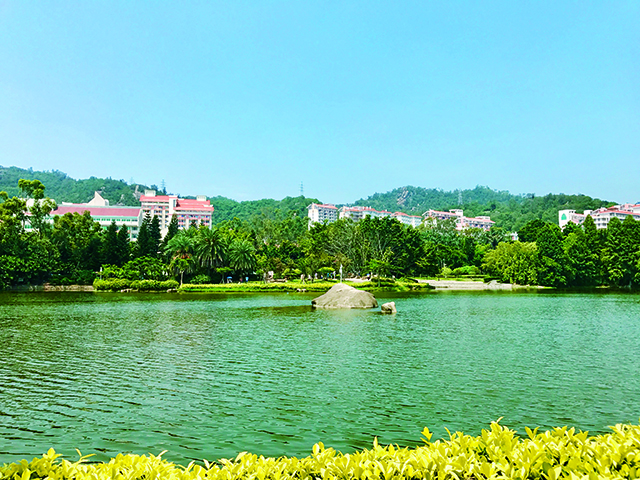 厦门大学湖景.jpg