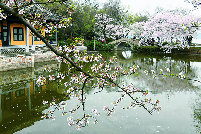05.鼋头渚春色.jpg