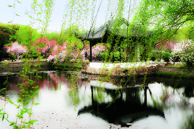 08.蠡园烟柳.jpg